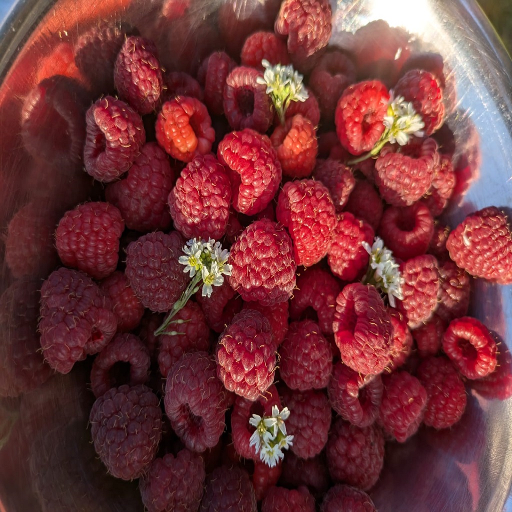 IMG-20241023-WA0013